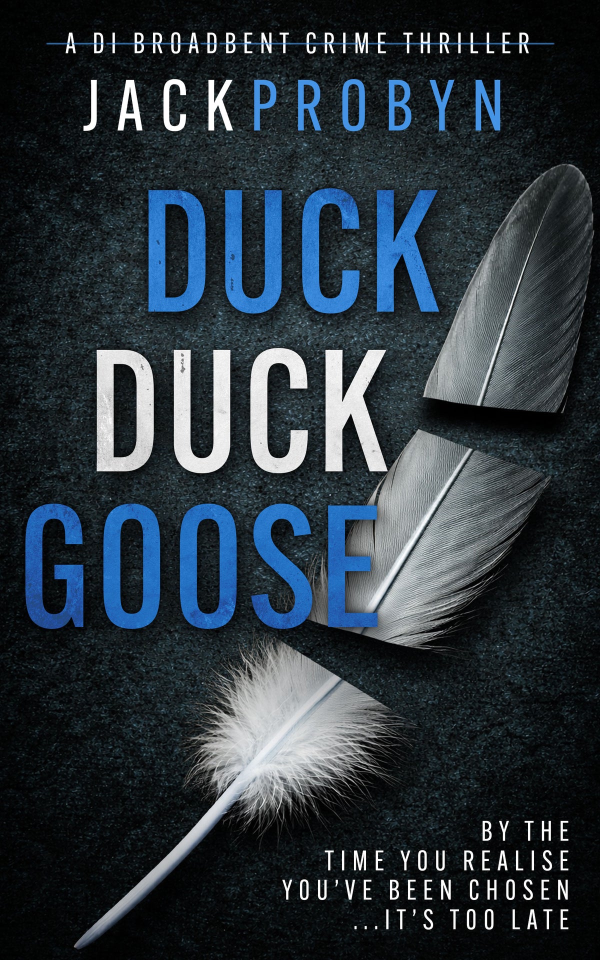 Duck, Duck, Goose: Book 8 in the DI Stephanie Broadbent Surrey Hills Crime Thriller Series (EBOOK)