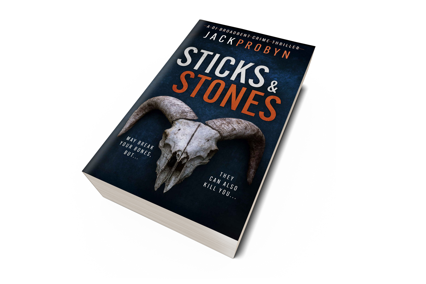 Sticks and Stones - DI Stephanie Broadbent Crime Thriller - Book 5